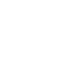 Play Audio